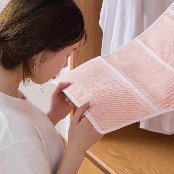 ORGANIZER PER PORTA REGGISENI CALZE E BIANCHERIA INTIMA A DUE LATI 15/30 POSTI - 9