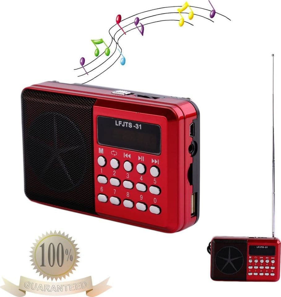 RADIO LETTORE MP3 MINI SPEAKER PORTATILE CON FLASH DRIVER TF CARD DISPLAY LED - 6