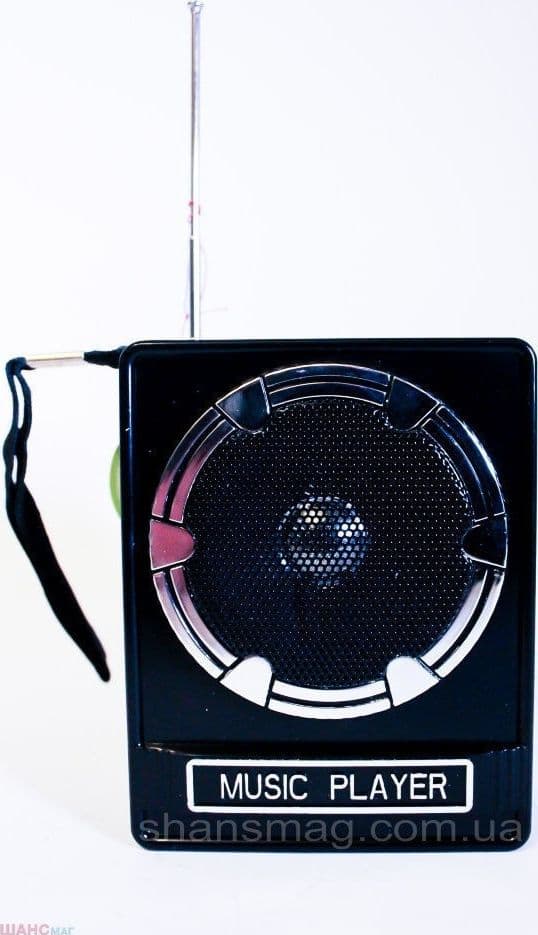 CASSA SPEACKER PORTATILE CON RADIO FM PORTA USB LETTORE SCHEDA SD USCITA AUX MP3 - 3