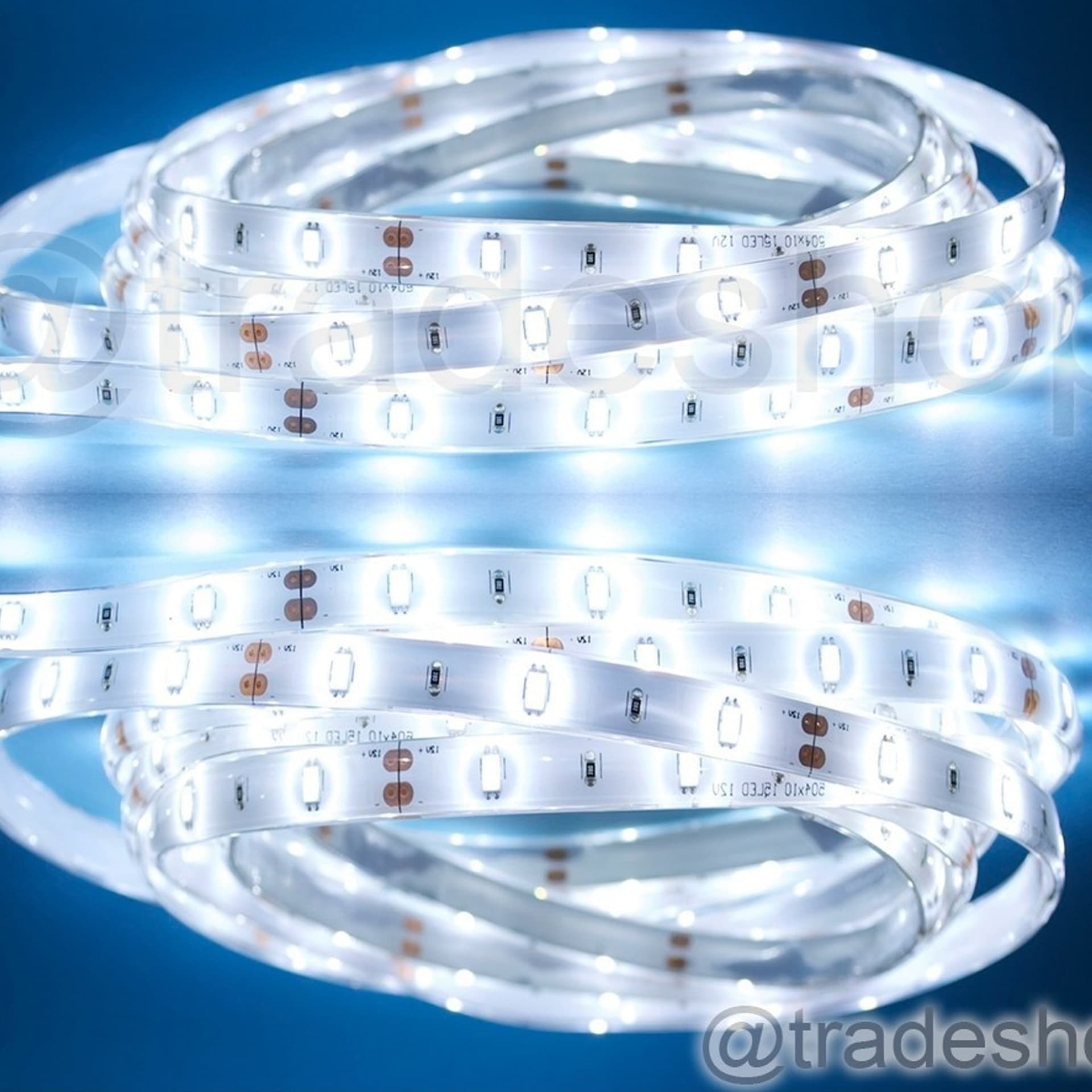 BOBINA STRISCIA 300 LED 5630 IMPERMEABILE 5 METRI 12V LUCE BIANCO FREDDO CALDO - 2