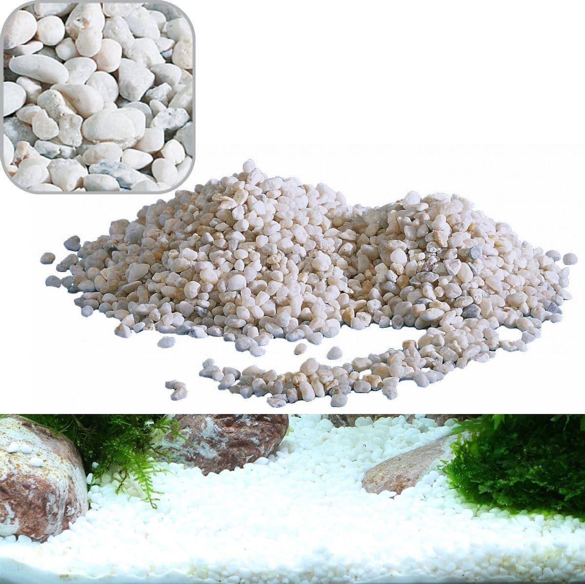 GHIAIA NOA MEDIA DECORATIVA PER ACQUARIO ACQUARI KG. 2.0 RIVER ROCKS PER FONDALE