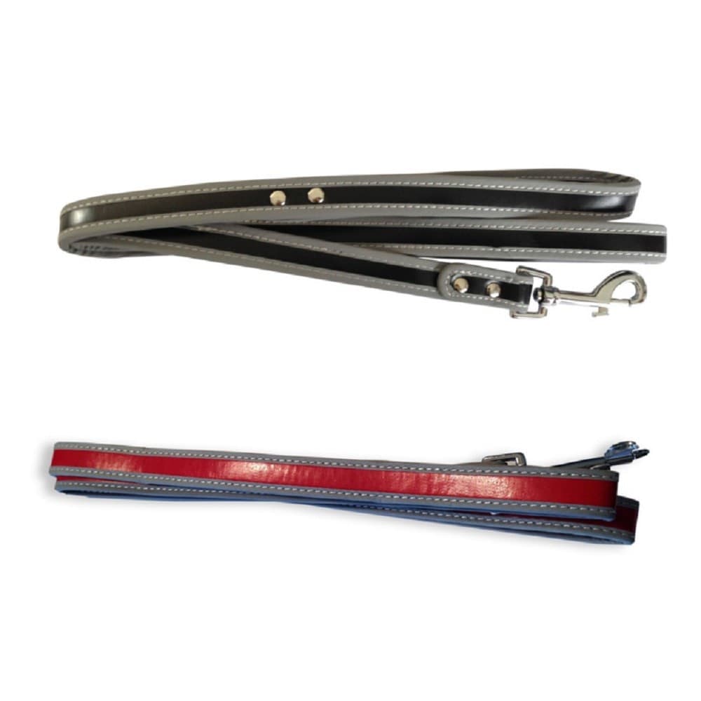 GUINZAGLIO PER CANE LUNGHEZZA 120CM RIFLETTENTE MOSCHETTONE ACCIAIO VARI COLORI - 2