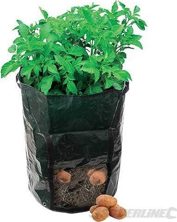 Sacchetto in tessuto di polietilene per piantare patate 360 x 510 mm Silverline