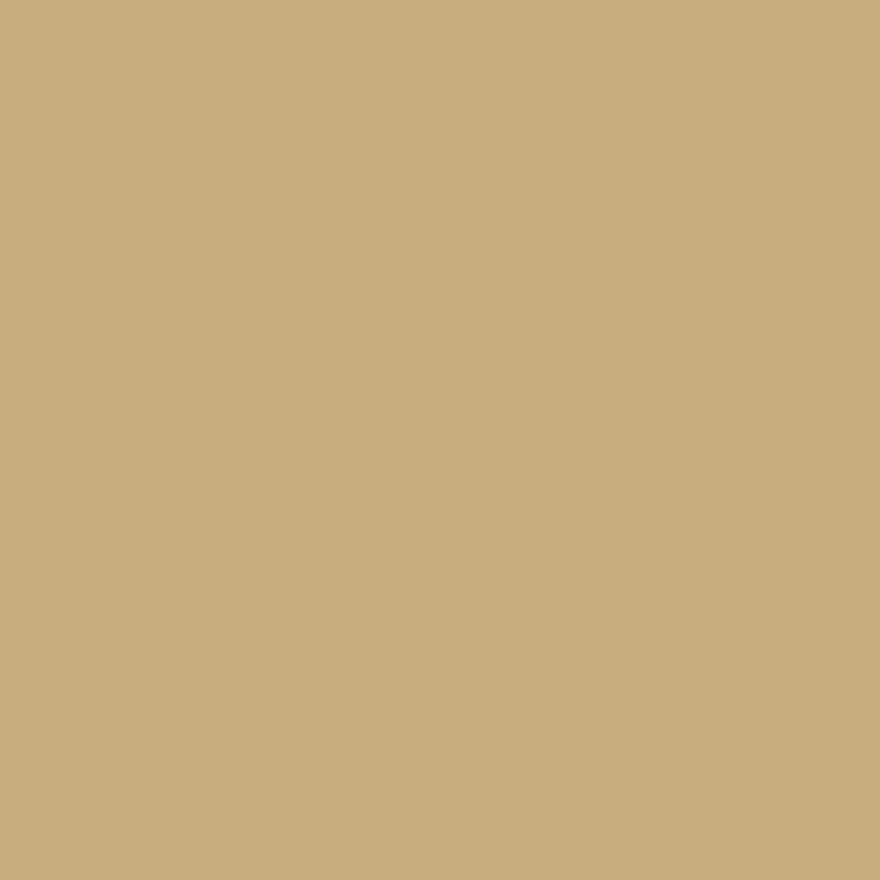 Bomboletta TP010 - SMALTO ACRILICO SPRAY 100% 400 ML PER ESTERNI ED INTERNI ECO SERVICE – BEIGE – beige