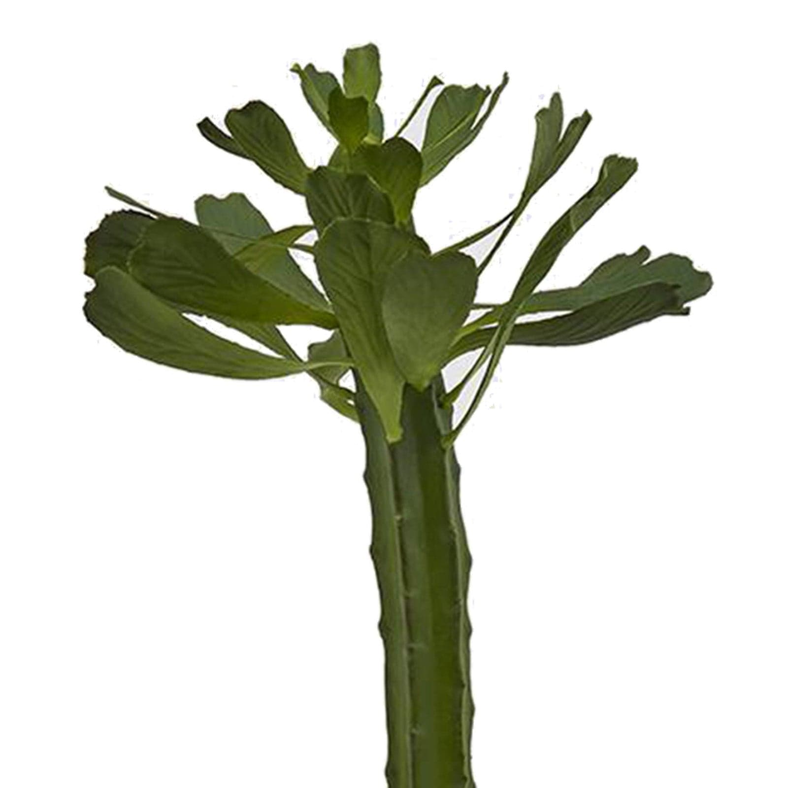 Cactus "West" in vaso grande pianta grassa artificiale per interno ed esterno h 53 cm in Piante artificiali Decor Space - Altamura, commercioVirtuoso.it