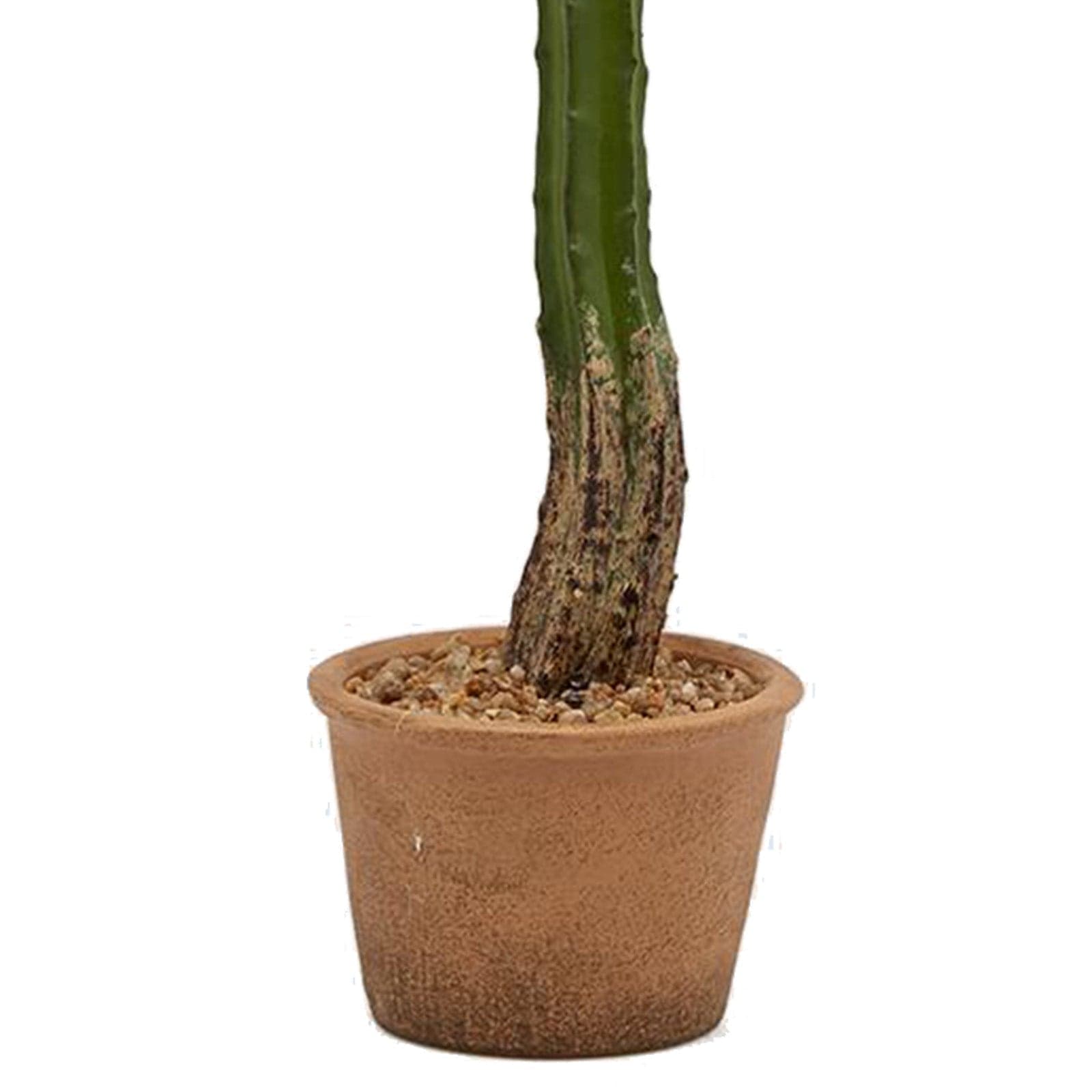 Cactus "West" in vaso grande pianta grassa artificiale per interno ed esterno h 53 cm in Piante artificiali Decor Space - Altamura, commercioVirtuoso.it