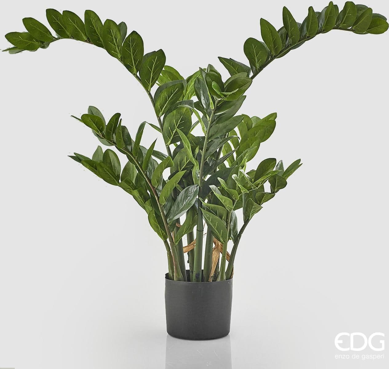 Pianta Artificiale decorativa da interno ed esterno "Zamifolia" con vaso in Piante artificiali Decor Space - Altamura, commercioVirtuoso.it