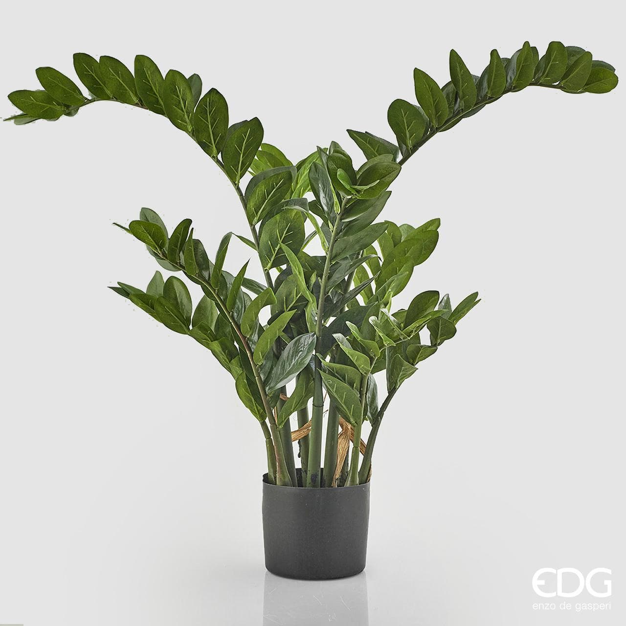 Pianta Artificiale decorativa da interno ed esterno "Zamifolia" con vaso in Piante artificiali Decor Space - Altamura, commercioVirtuoso.it