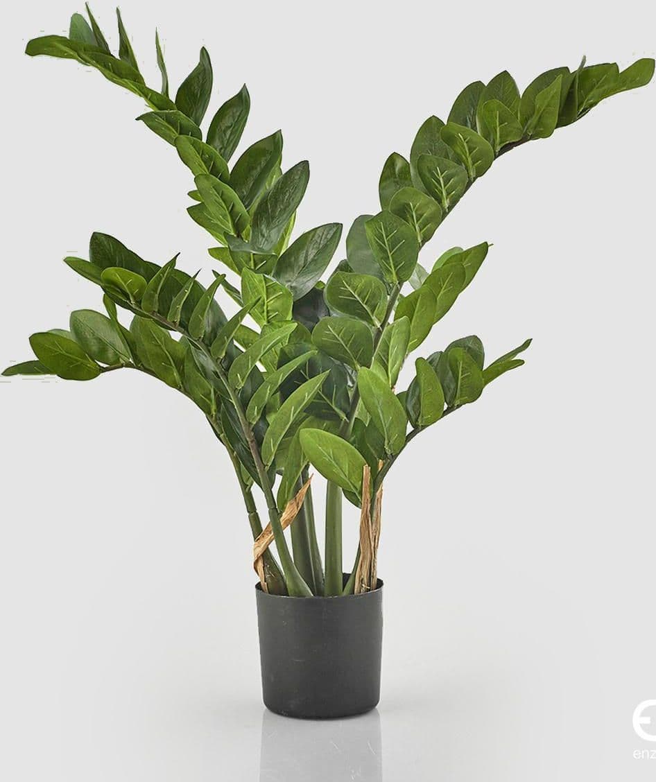 Pianta Artificiale decorativa da interno ed esterno "Zamifolia" con vaso in Piante artificiali Decor Space - Altamura, commercioVirtuoso.it