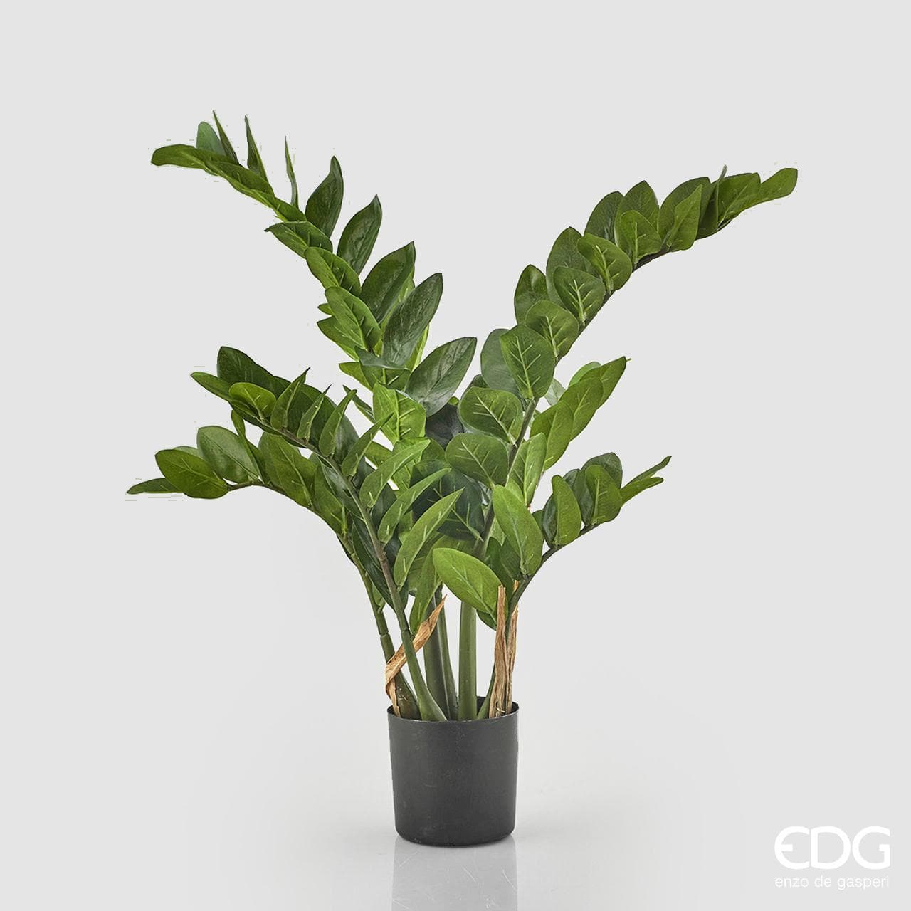 Pianta Artificiale decorativa da interno ed esterno "Zamifolia" con vaso in Piante artificiali Decor Space - Altamura, commercioVirtuoso.it