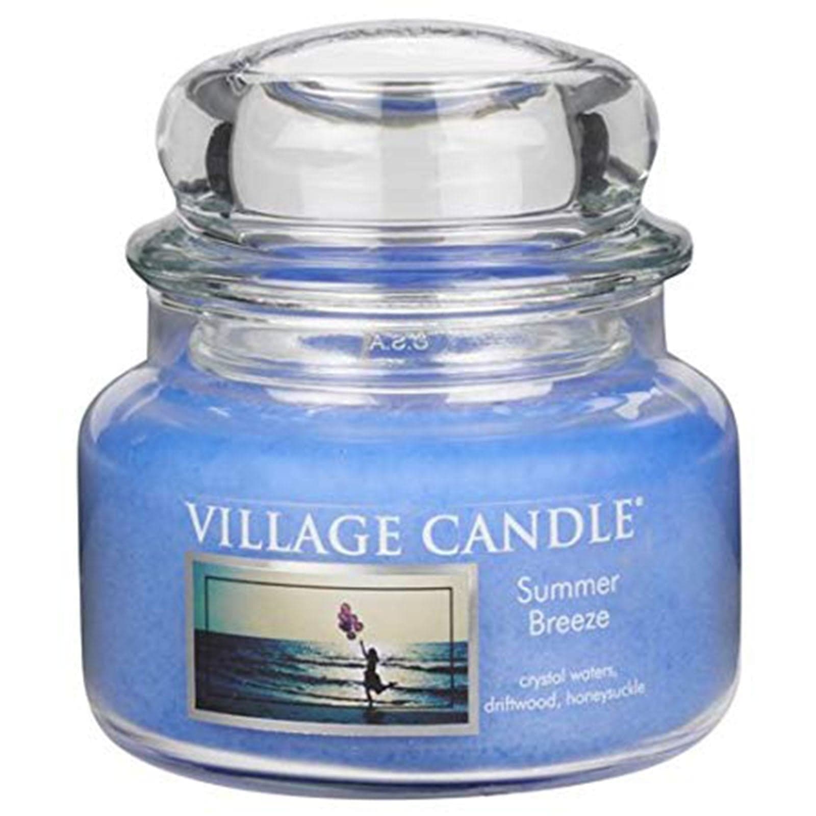 Candele profumate "Village Candle" profumatore per ambienti, Giara in vetro da 11 once - 28