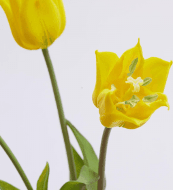 Fiore artificiale "tulipano" effetto realistico con stelo e foglie verdi in Fiori artificiali Decor Space - Altamura, commercioVirtuoso.it