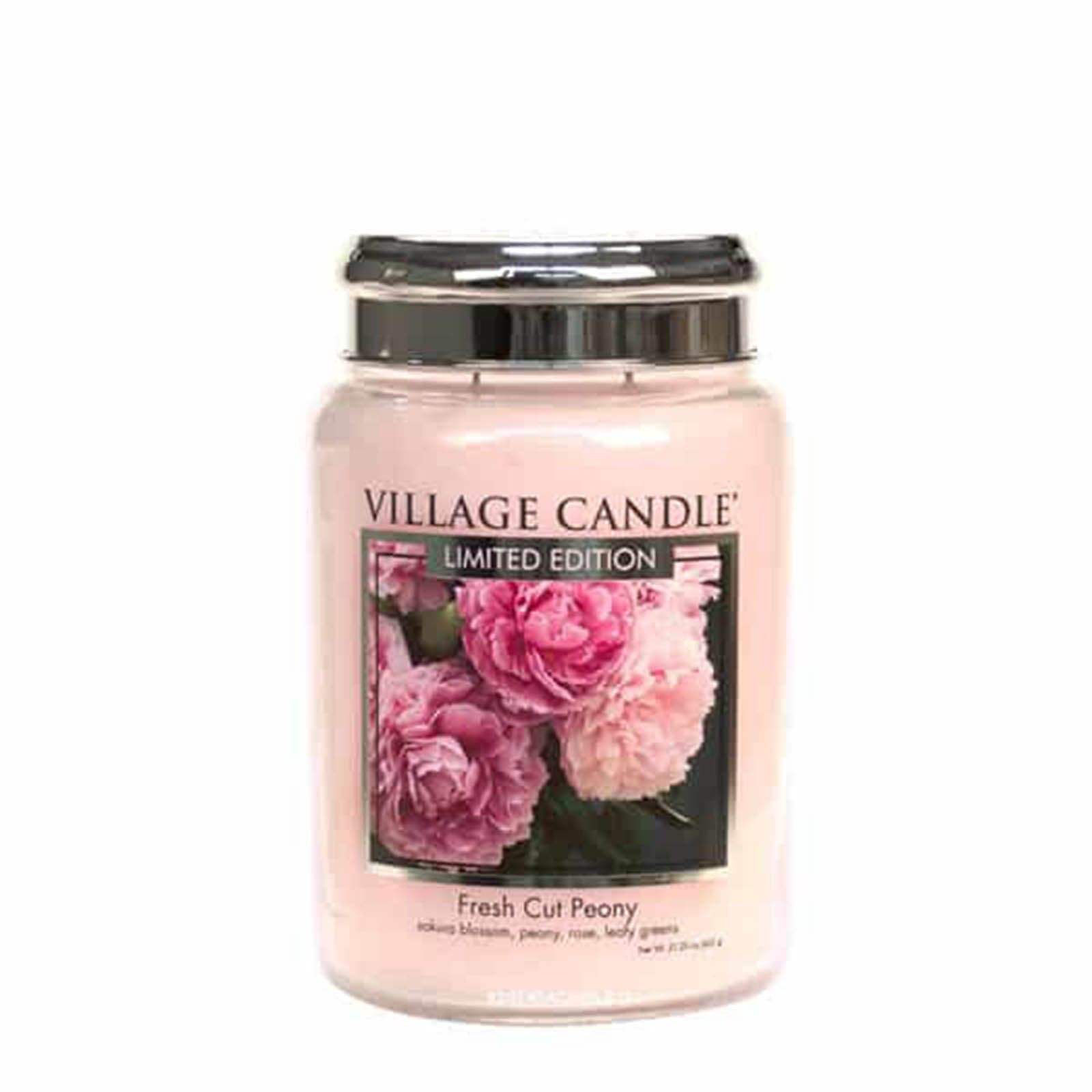 Candele profumate "Village Candle" profumatore per ambienti, Giara in vetro 730 gr, 26 once - 67