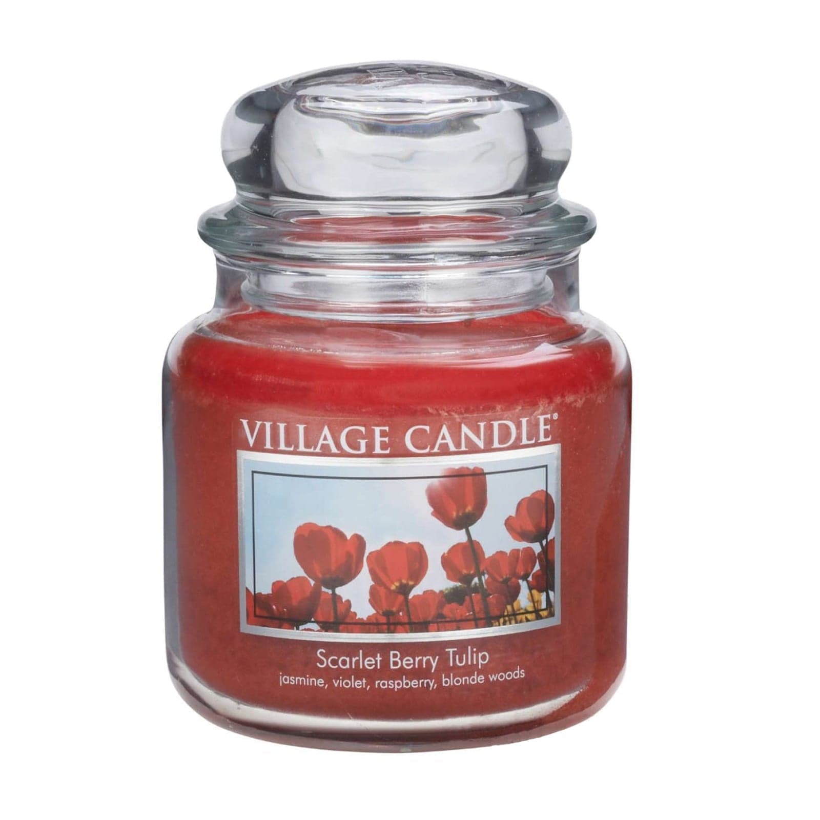 Candele profumate "Village Candle" profumatore per ambienti 16 once, Giara in vetro 450 gr - 17
