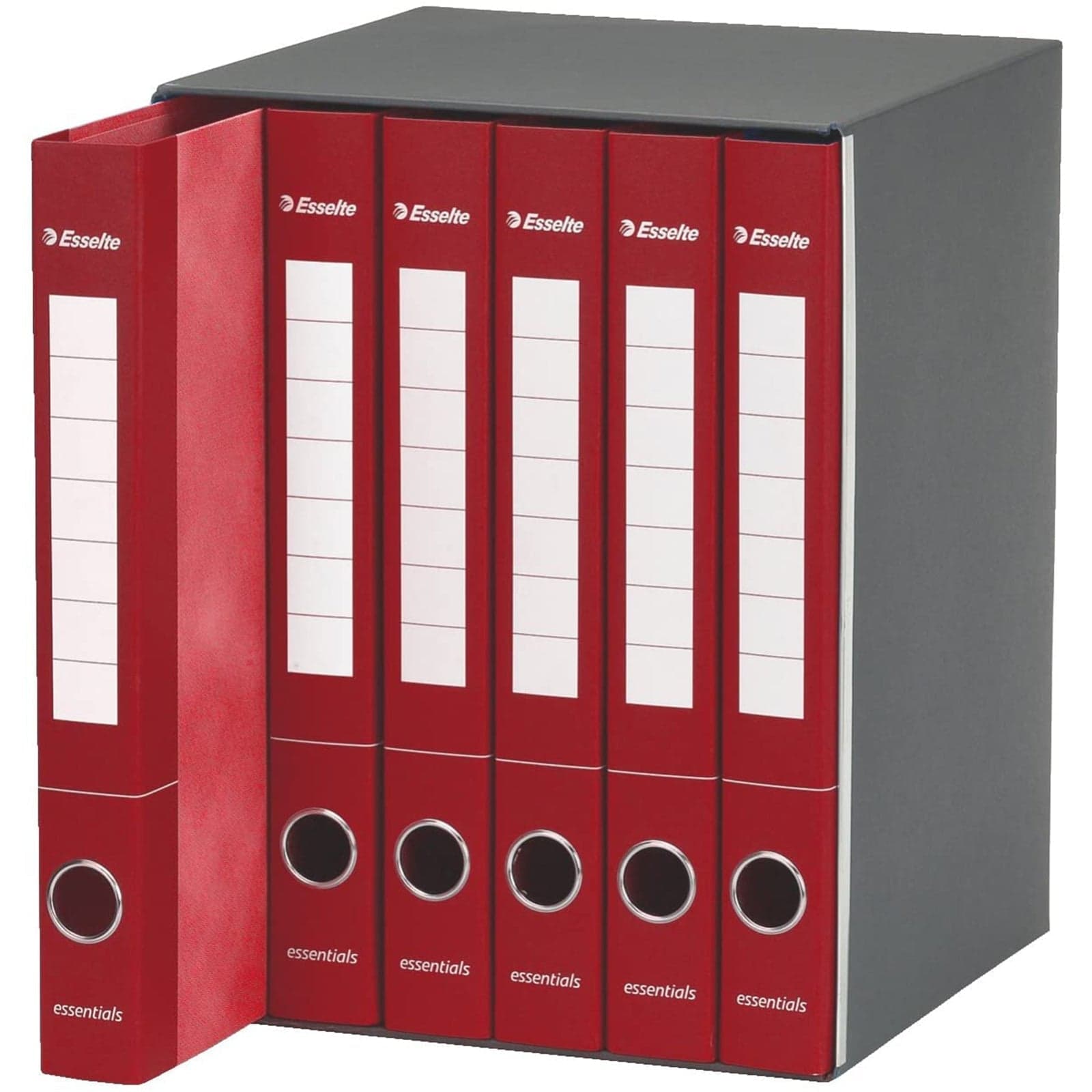 Gruppo di 6 raccoglitori ad anelli A4 "Essentials" faldone per ufficio con meccanismo a scatto dorso da 4 cm in Bandierine da tavolo Decor Space - Altamura, commercioVirtuoso.it