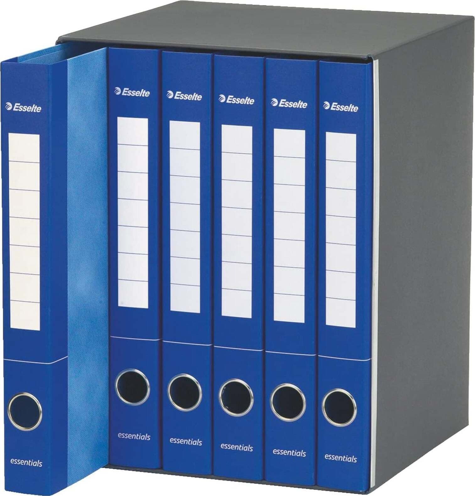 Gruppo di raccoglitori classificatori a 2 anelli E6 Essentials Cancelleria e prodotti per ufficio/Archivio ufficio e accessori per scrivania/Accessori da scrivania e archiviazione/Bandierine da tavolo Decor Space - Altamura, Commerciovirtuoso.it