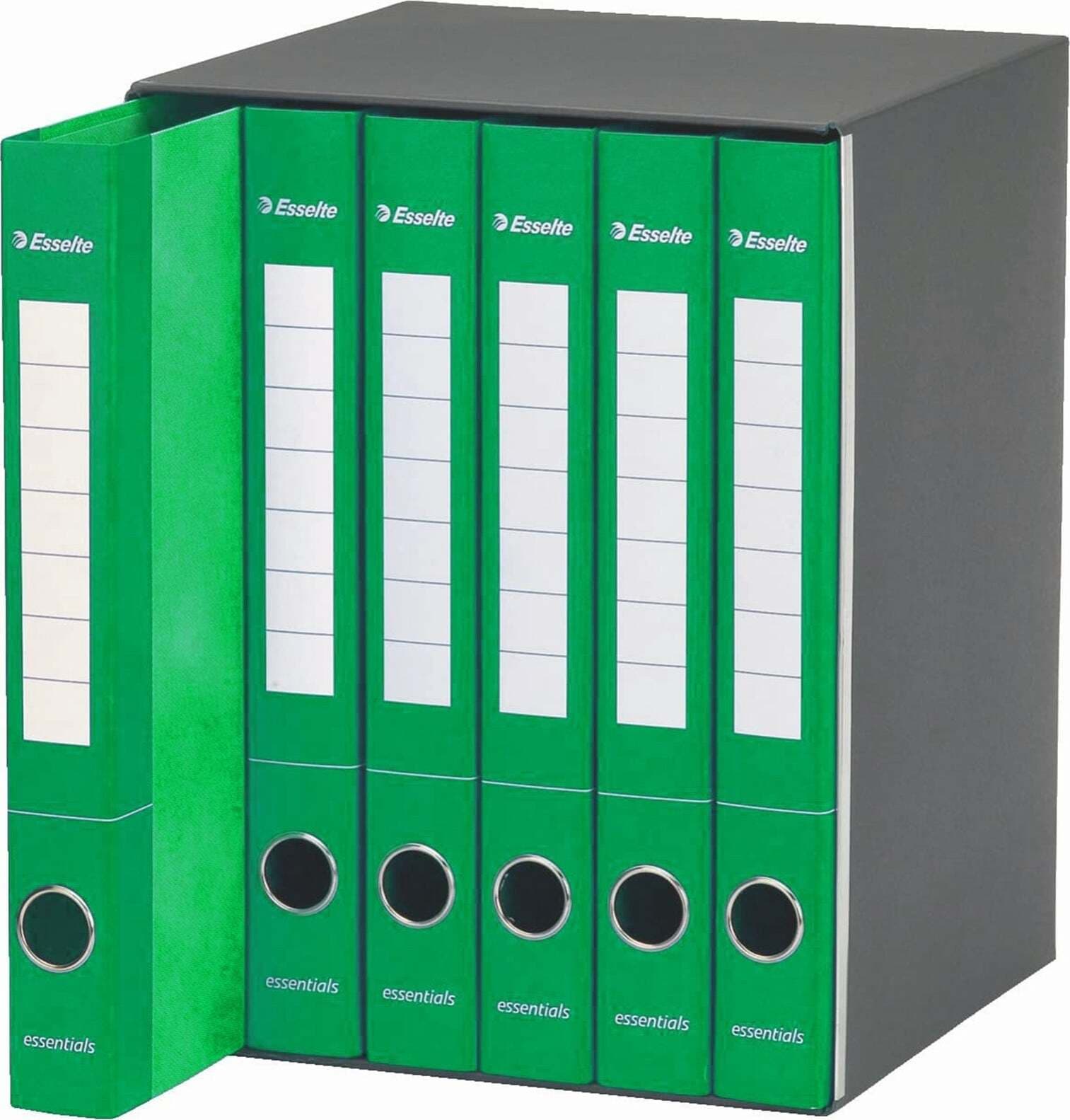 Gruppo di raccoglitori classificatori a 2 anelli E6 Essentials Cancelleria e prodotti per ufficio/Archivio ufficio e accessori per scrivania/Accessori da scrivania e archiviazione/Bandierine da tavolo Decor Space - Altamura, Commerciovirtuoso.it