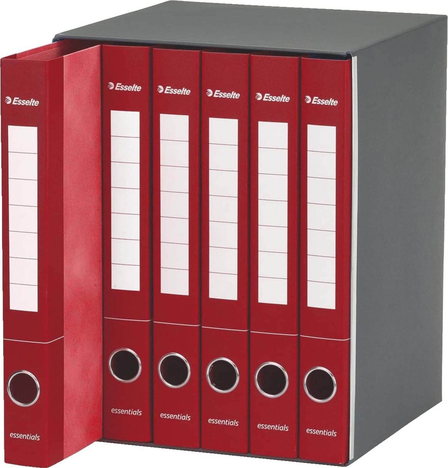 Gruppo di raccoglitori classificatori a 2 anelli E6 Essentials Cancelleria e prodotti per ufficio/Archivio ufficio e accessori per scrivania/Accessori da scrivania e archiviazione/Bandierine da tavolo Decor Space - Altamura, Commerciovirtuoso.it