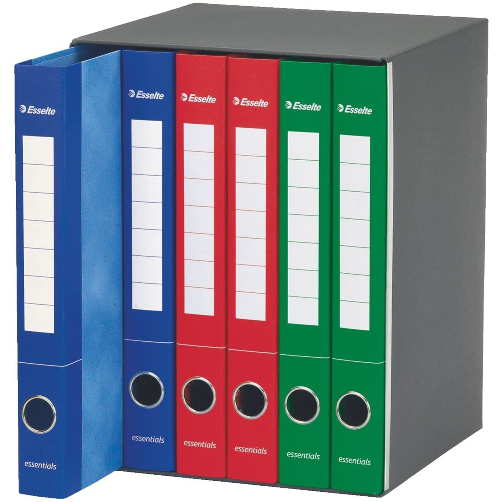 Gruppo di 6 raccoglitori ad anelli A4 "Essentials" faldone per ufficio con meccanismo a scatto dorso da 4 cm in Bandierine da tavolo Decor Space - Altamura, commercioVirtuoso.it
