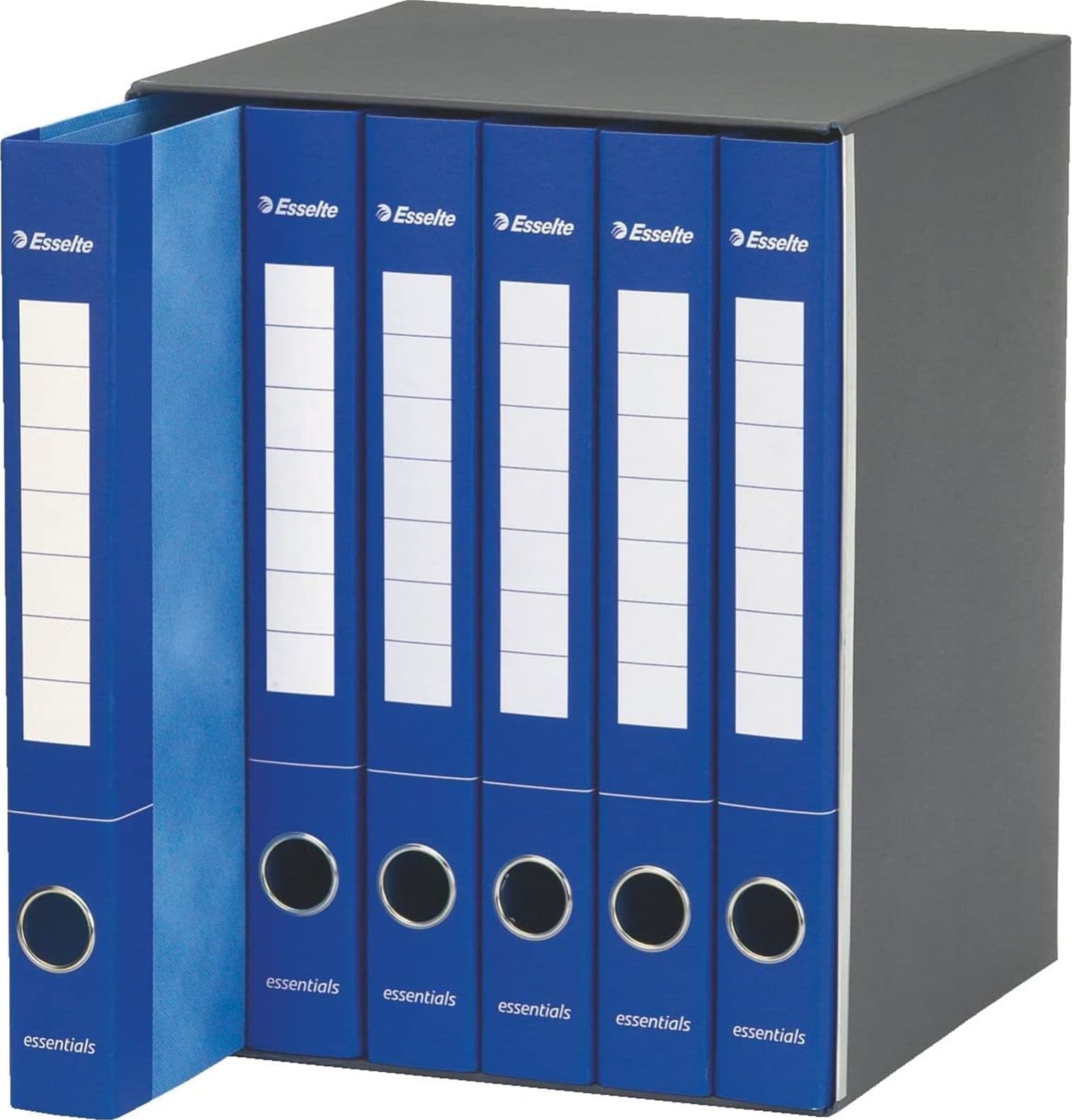 Gruppo di 6 raccoglitori ad anelli A4 "Essentials" faldone per ufficio con meccanismo a scatto dorso da 4 cm in Bandierine da tavolo Decor Space - Altamura, commercioVirtuoso.it