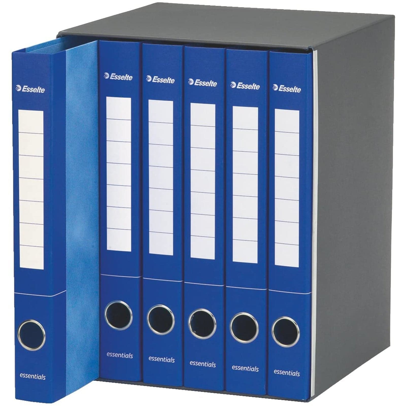 Gruppo di 6 raccoglitori ad anelli A4 "Essentials" faldone per ufficio con meccanismo a scatto dorso da 4 cm in Bandierine da tavolo Decor Space - Altamura, commercioVirtuoso.it