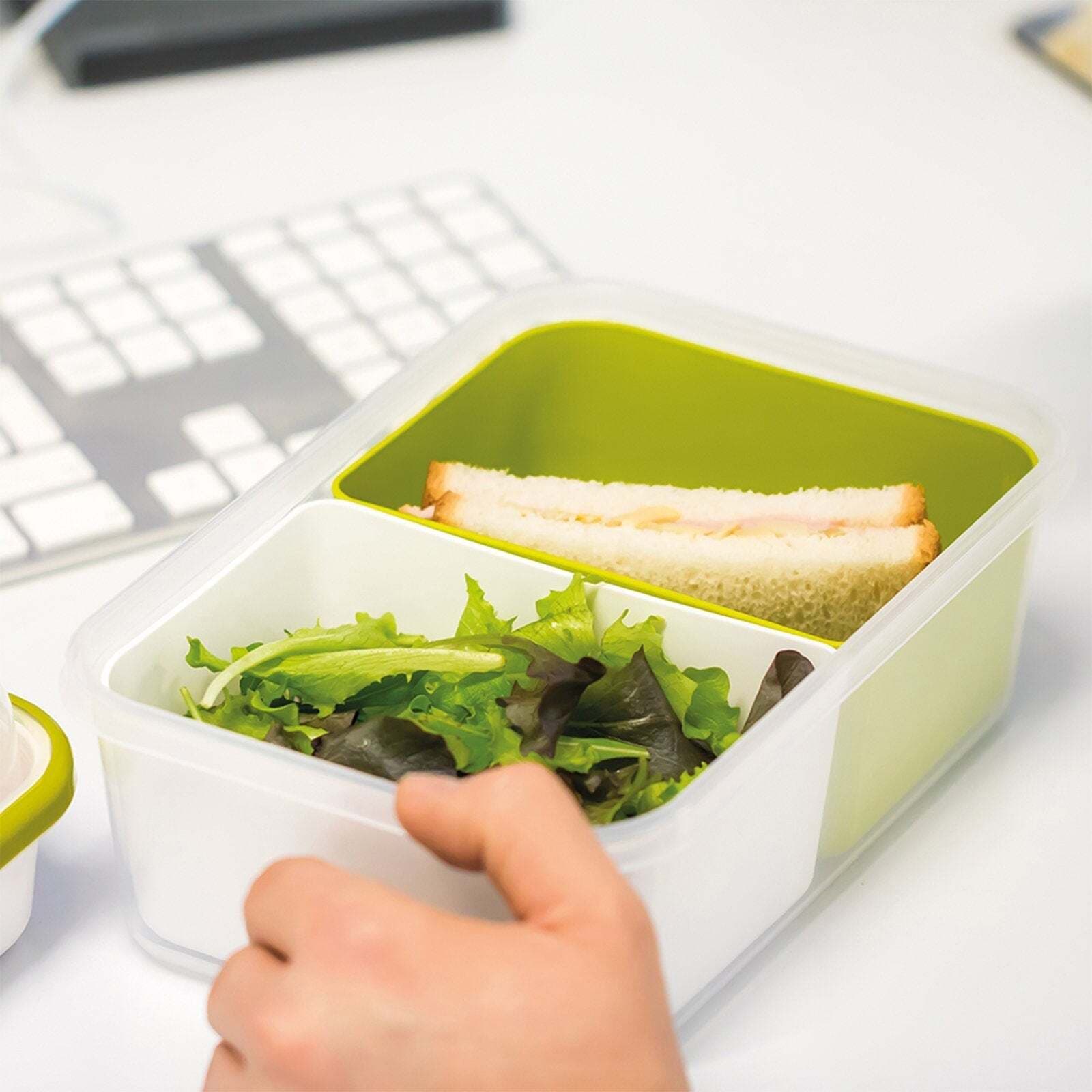 Portavivande vaschetta in plastica richiudibile porta pranzo lunch box da viaggio Casa e cucina/Decorazioni per interni/Accessori decorativi/Soprammobili Decor Space - Altamura, Commerciovirtuoso.it