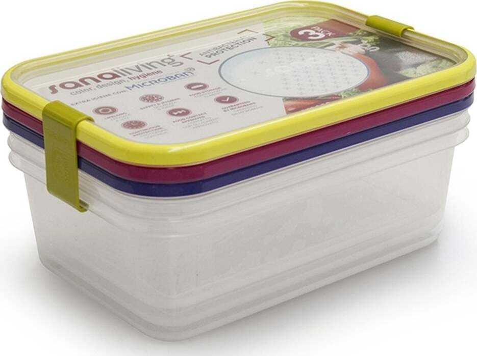 Set 3 vaschette ciotole portavivande porta cibo con coperchi per viaggio Casa e cucina/Decorazioni per interni/Accessori decorativi/Soprammobili Decor Space - Altamura, Commerciovirtuoso.it