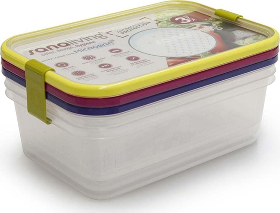 Set 3 vaschette ciotole portavivande porta cibo con coperchi per viaggio Casa e cucina/Decorazioni per interni/Accessori decorativi/Soprammobili Decor Space - Altamura, Commerciovirtuoso.it