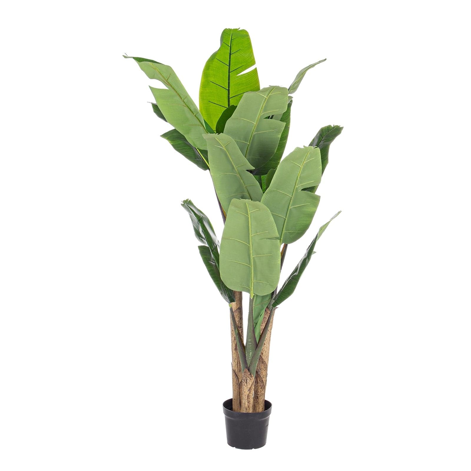 Pianta Artificiale decorativa da interno ed esterno "Banano" con vaso - 5