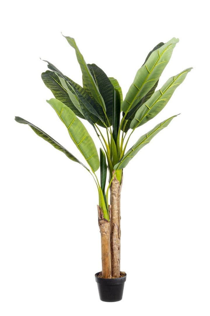 Pianta Artificiale decorativa da interno ed esterno "Banano" con vaso in Piante artificiali Decor Space - Altamura, commercioVirtuoso.it