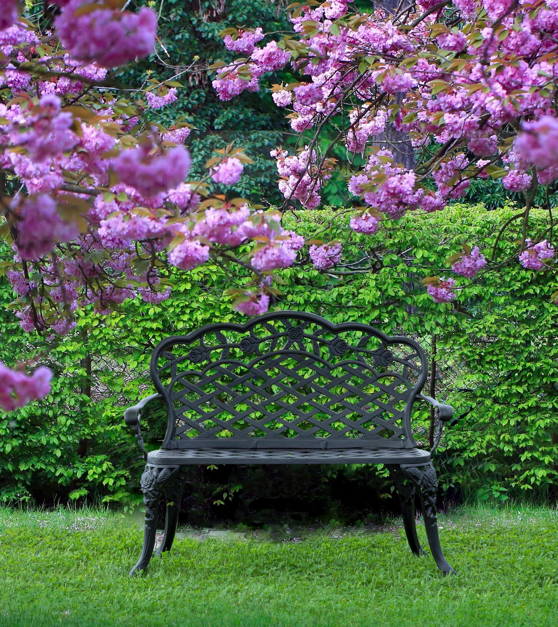 Panca Da Giardino "victoria" in Acciaio, Panchina per Giardino E Veranda Verniciata a Polvere Giardino e giardinaggio/Arredamento da giardino e accessori/Panche Decor Space - Altamura, Commerciovirtuoso.it
