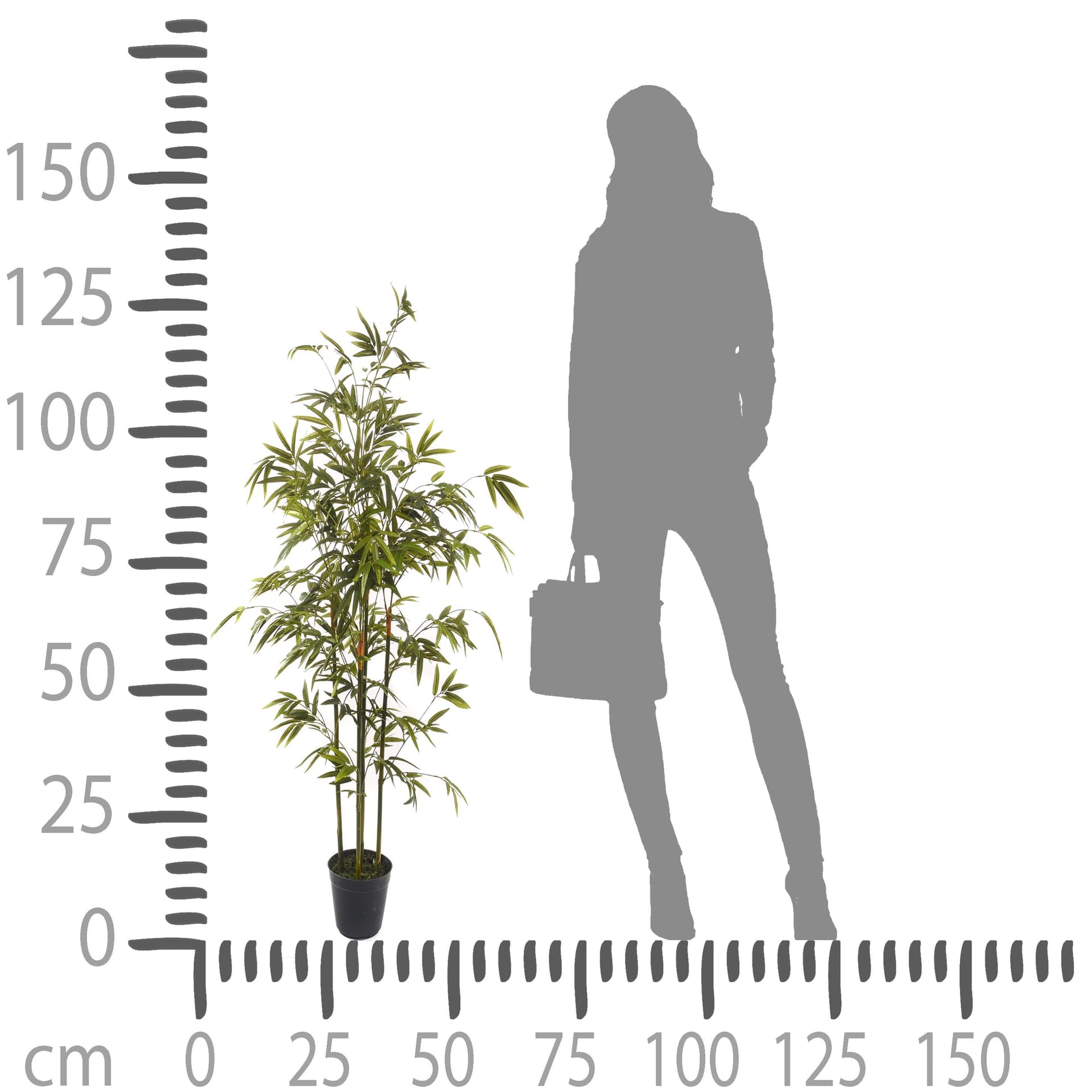 Pianta artificiale moderna con vaso Mini Bamboo in materiale sintetico da h 130 cm in Piante artificiali Decor Space - Altamura, commercioVirtuoso.it