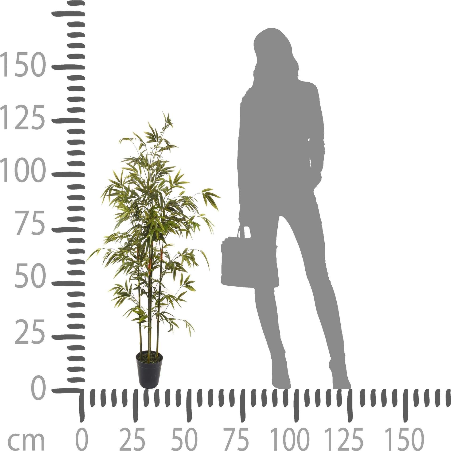 Pianta artificiale moderna con vaso Mini Bamboo in materiale sintetico da h 130 cm Casa e cucina/Decorazioni per interni/Piante e fiori artificiali/Piante artificiali Decor Space - Altamura, Commerciovirtuoso.it