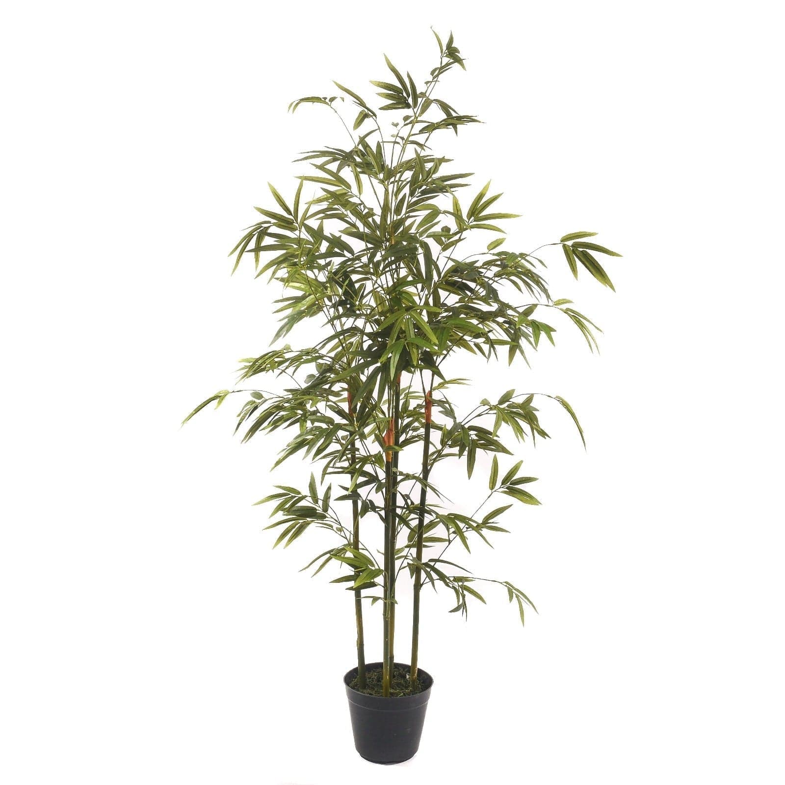 Pianta artificiale moderna con vaso Mini Bamboo in materiale sintetico da h 130 cm in Piante artificiali Decor Space - Altamura, commercioVirtuoso.it