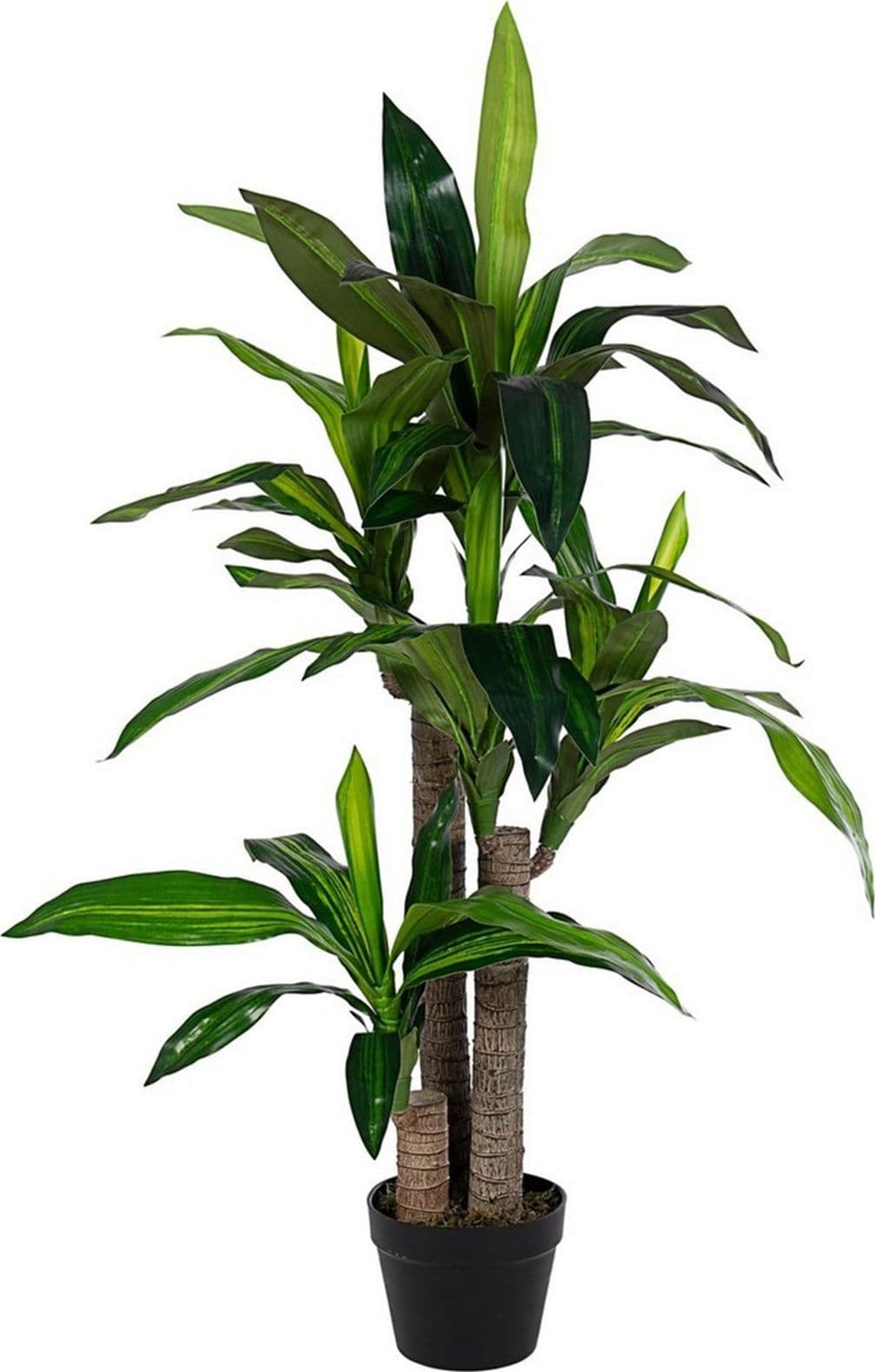 Pianta Artificiale decorativa da interno ed esterno "Dracanea" con vaso h 110