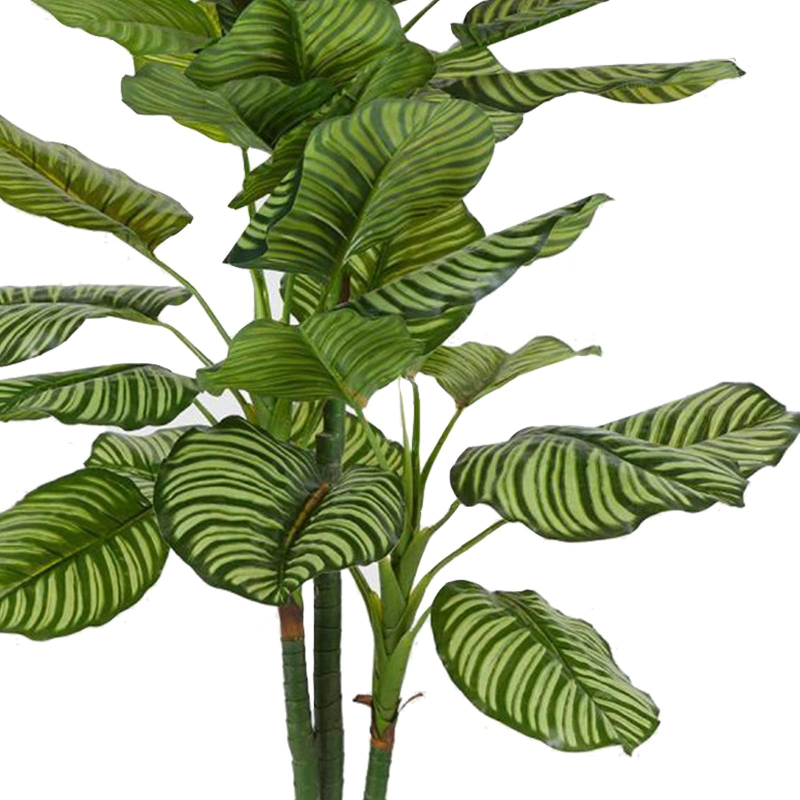 Pianta Artificiale da interno ed esterno "Calathea Bell" con vaso h 115 cm in Piante artificiali Decor Space - Altamura, commercioVirtuoso.it