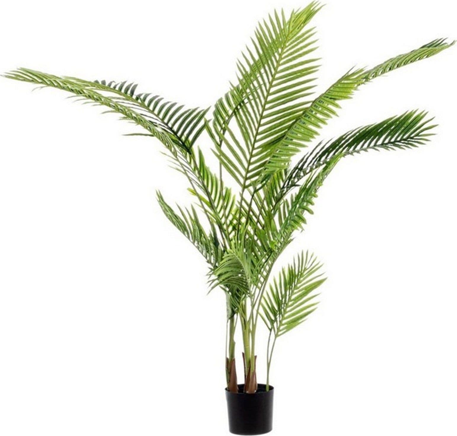 Pianta artificiale "Kenzia" da interno ed esterno decorazione moderna con vaso – 160 cm – Andrea Bizzotto Spa – verde