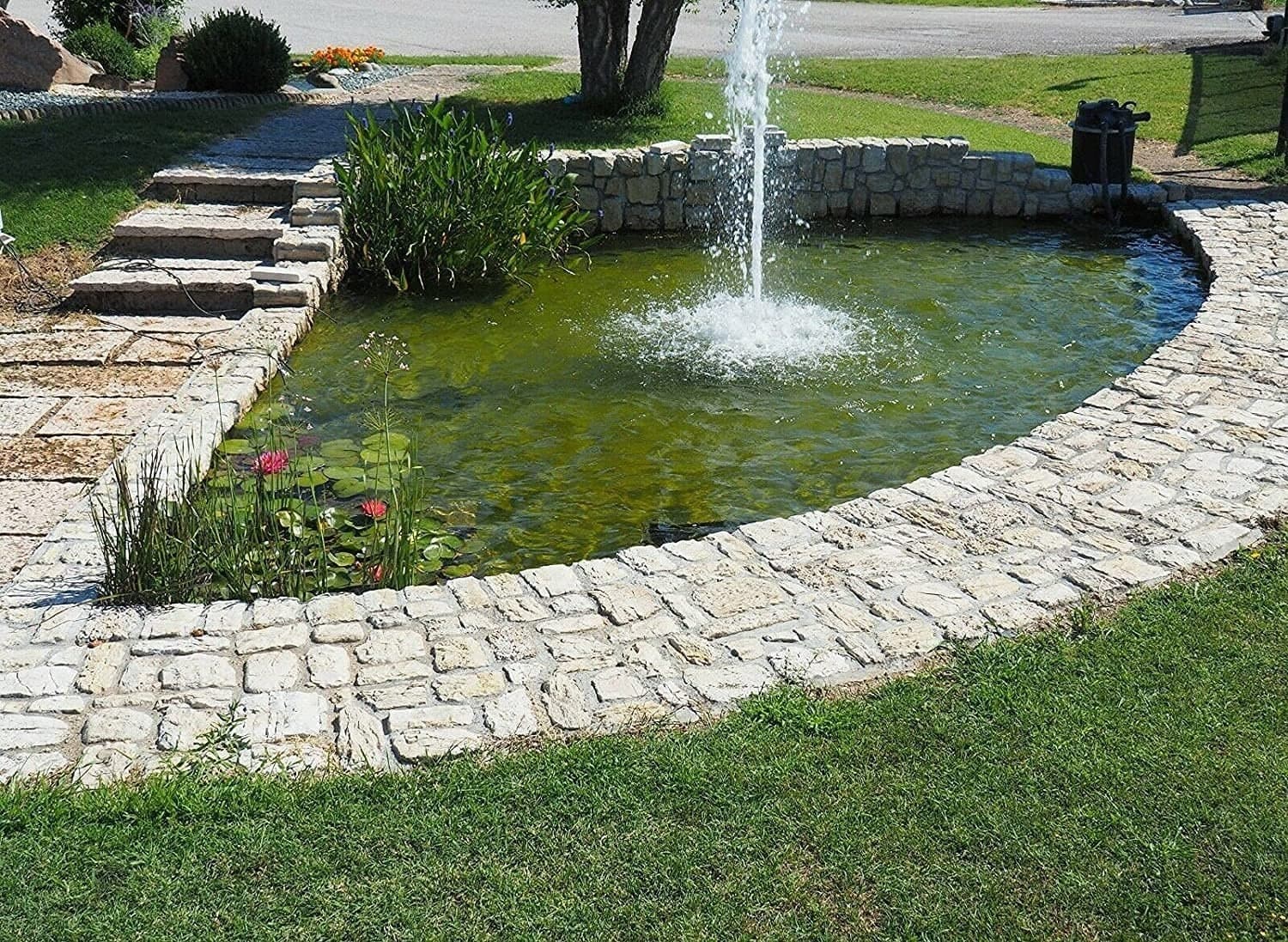 Telo Laghetto in Pvc Rinforzato Verde Metri 6x8 Garanzia 15 anni - 3