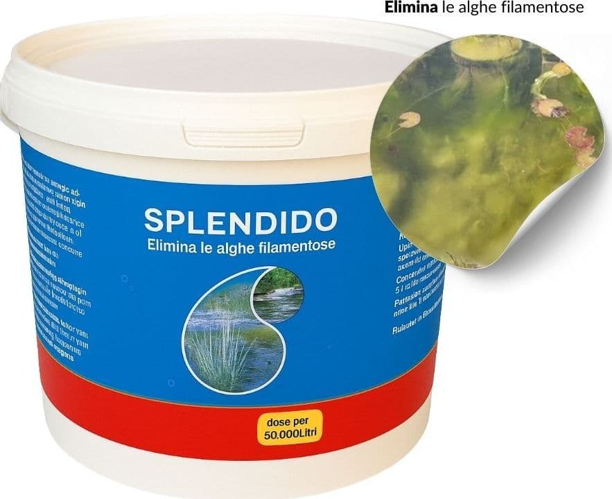 Antialghe Splendido per Laghetto in Secchiello per Litri 50000 - 2