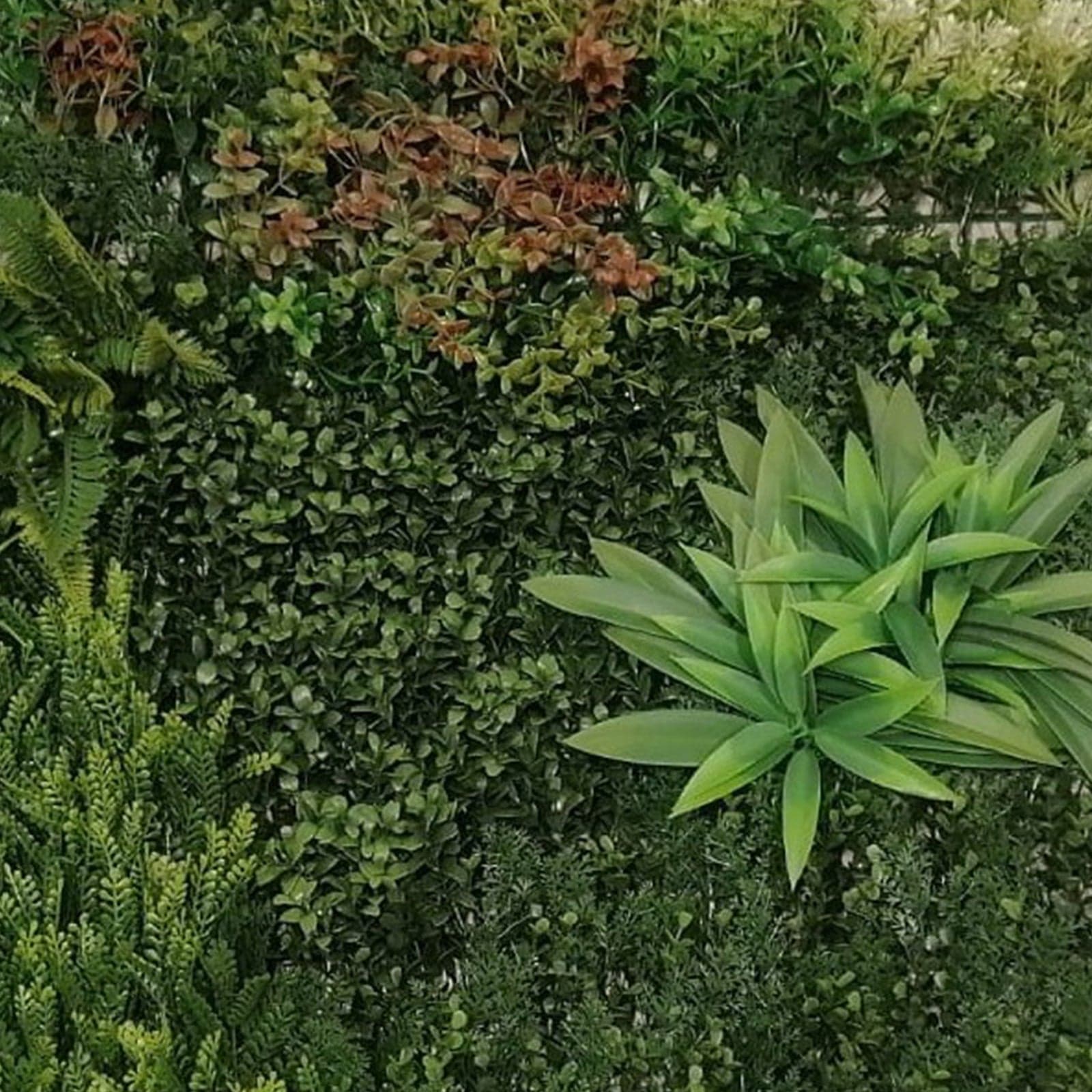 Siepe artificiale per parete sempreverde verticale "Tropicale" da intero ed esterno 1 x 1 mt in Piante artificiali Decor Space - Altamura, commercioVirtuoso.it