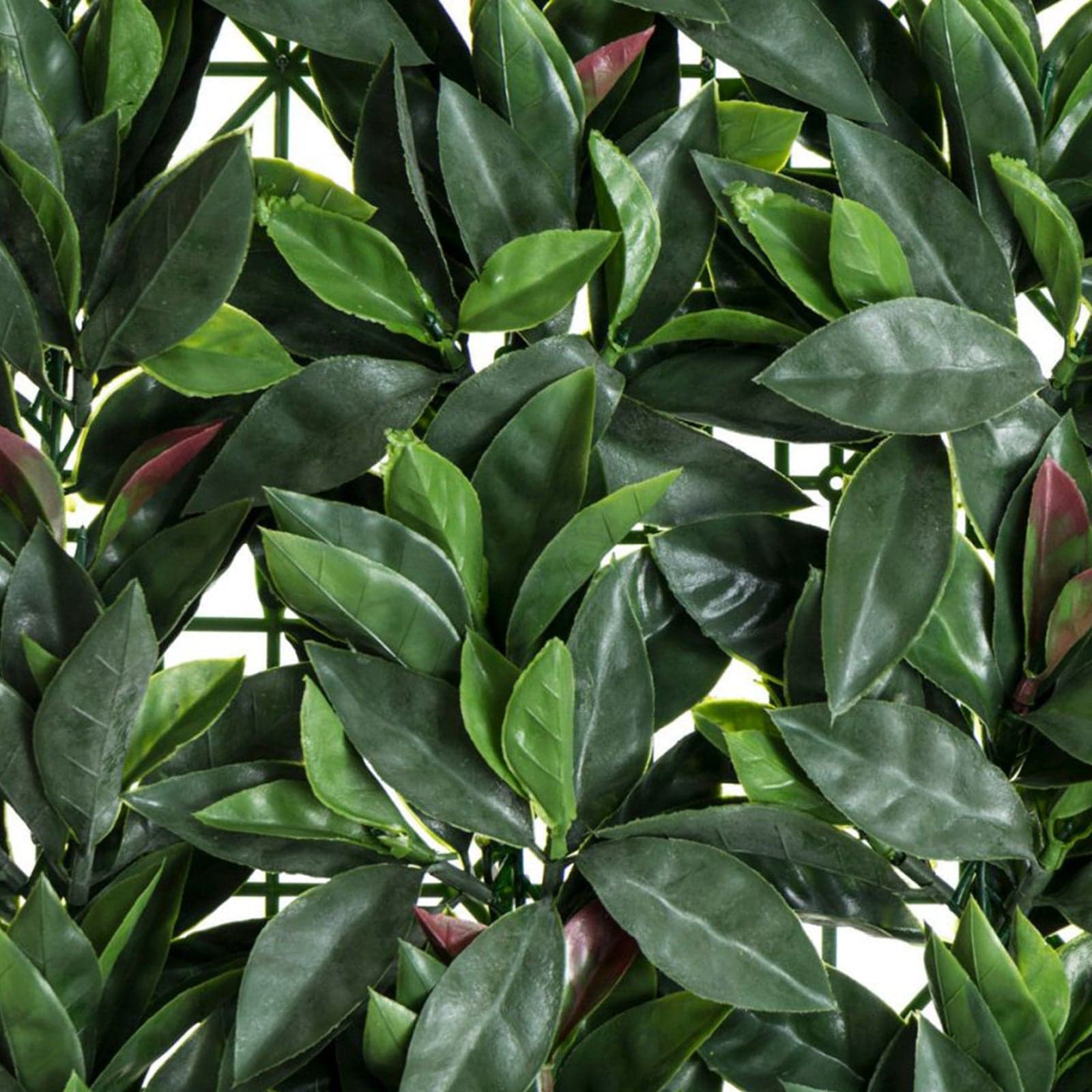 Siepe artificiale 3D Photinia rossa decorazione per balconi e giardino anti uv 1 x 1 Mt in Piante artificiali Decor Space - Altamura, commercioVirtuoso.it