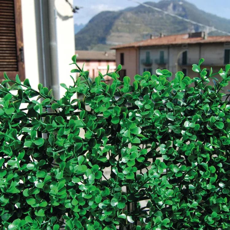 Siepe artificiale per parete sempreverde verticale "Bosso" da intero ed esterno 1 x 1 mt in Piante artificiali Decor Space - Altamura, commercioVirtuoso.it