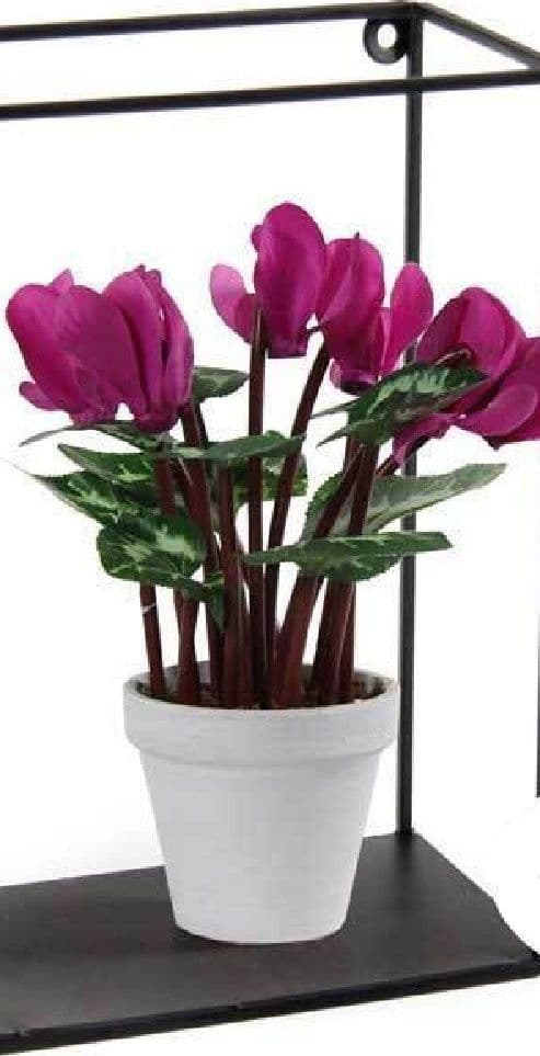 MENSOLA BACHECA PARETE RETTANGOLARE IN METALLO 17X10X25CM NERO INDUSTRIAL 822179 - 3