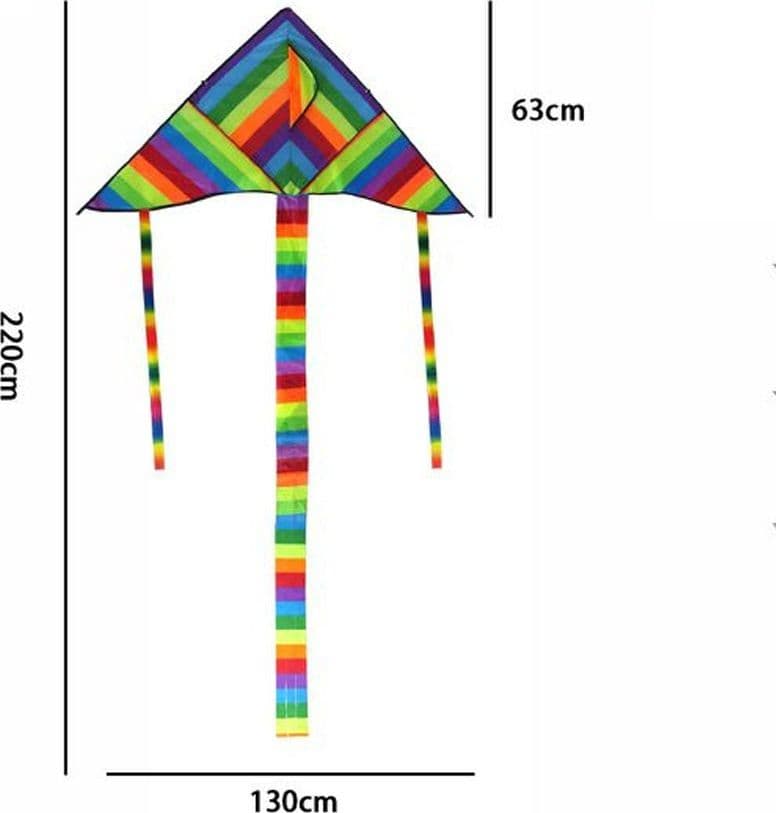 AQUILONE ARCOBALENO CODA LUNGA GIOCO ESTERNO SPIAGGIA SUPER FACILE DA PILOTARE - 2