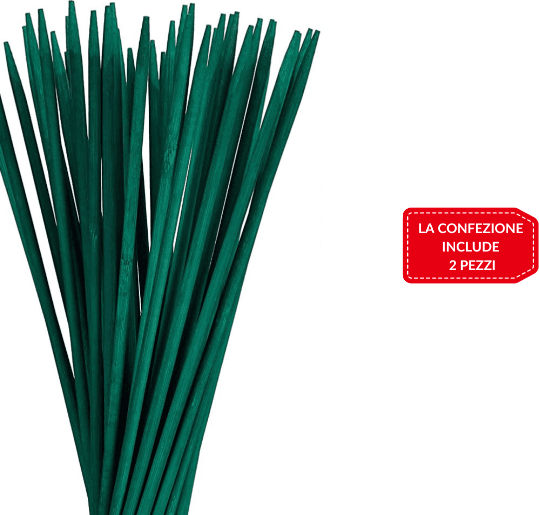 2 PZ BASTONCINI DI SUPPORTO PER GIARDINO ASTA SERRE RECINZIONI PIANTE 1.1X120 CM - 2