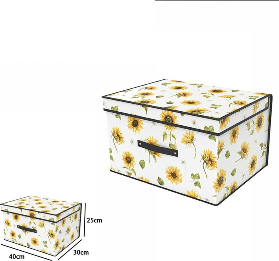 BOX SCATOLA SALVASPAZIO ARMADIO CONTENITORE PORTA OGGETTI ORGANIZER 40x30x25