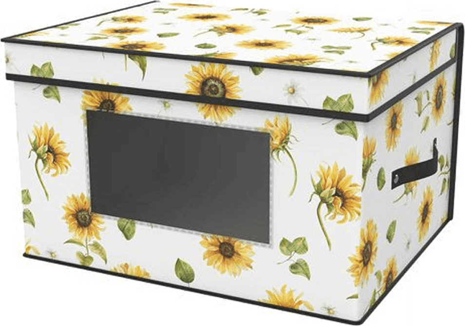 BOX SCATOLA SALVASPAZIO ARMADIO CONTENITORE PORTA OGGETTI ORGANIZER 30x30x16 - 2