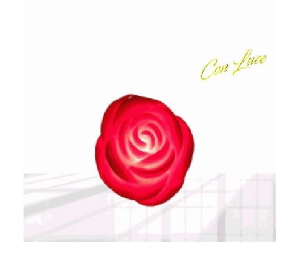 SET 6 PZ ROSA ROSE IN PLASTICA LUMINOSO DECORAZIONE LUCE SAN VALENTINO 6CM 84932 - 3