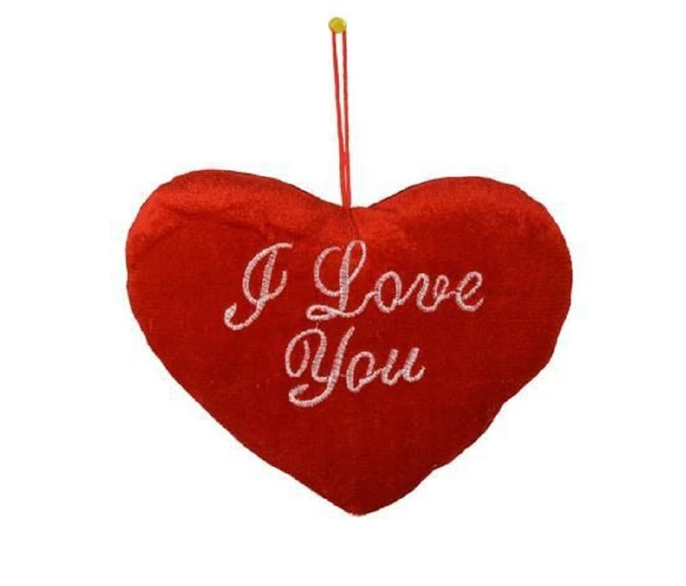 CUORE ROSSO CON SCRITTA I LOVE YOU CON APPENDINO 20CM IDEA REGALO SAN VALENTINO - 3