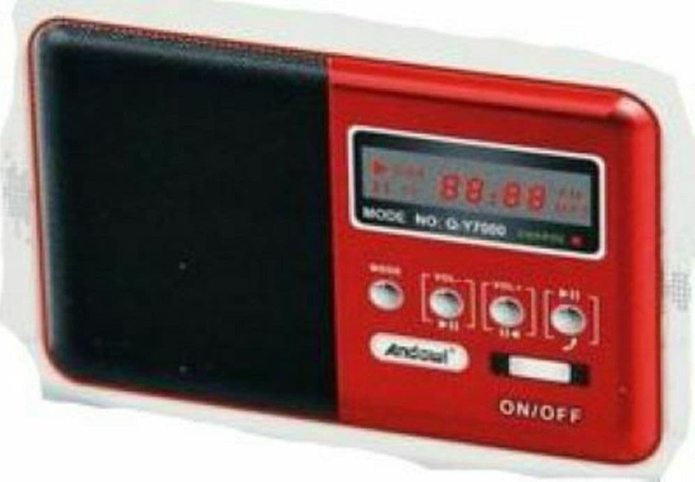 SPEAKER WIRELESS BLUETOOTH RICARICABILE ALTOPARLANTE RADIO FM PORTATILE Q-Y7000 - 2